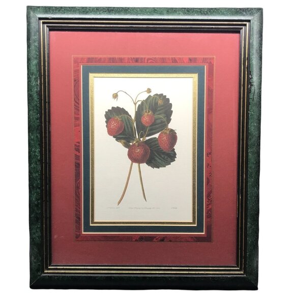 The Downton Strawberry Framed Print with Burgundy and Green Matte, Botanical Art